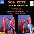 Donizetti: L'Aio Nell'Imbarazzo