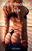 Mein Arsch ist Dein (eBook, ePUB)