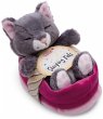 NICI 49746 - Sleeping Pets, Katze grau... - Bild 1