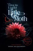 follow the light little moth follow the light little moth