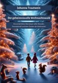 Der geheimnisvolle Weihnachtswald