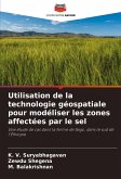 Utilisation de la technologie géospatiale pour modéliser les zones affectées par le sel Utilisation de la technologie géospatiale pour modéliser les zones affectées par le sel