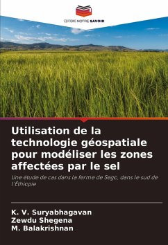 Cover Utilisation de la technologie géospatiale pour modéliser les zones affectées par le sel