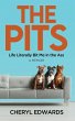The Pits - Bild 1