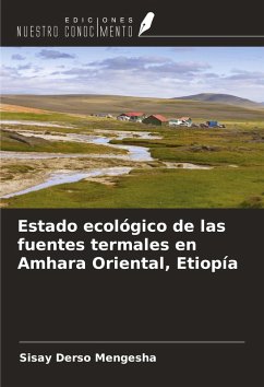 Cover Estado ecológico de las fuentes termales en Amhara Oriental, Etiopía