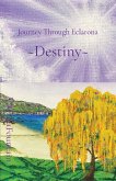 Destiny Destiny