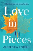 Love in Pieces (eBook, ePUB)
