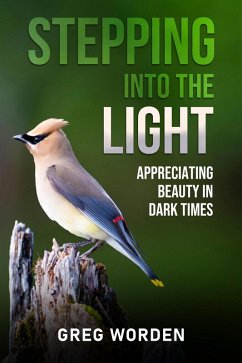 Cover Stepping into the Light: Appreciating Beauty in Dark Times (eBook, ePUB)