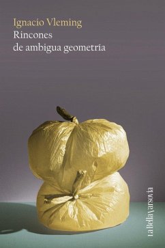 Rincones de Ambigua Geometria - Vleming, Ignacio Rincones de Ambigua Geometria - Vleming, Ignacio