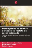 Desempenho da cultura do trigo sob fosfato de rocha acidulado Desempenho da cultura do trigo sob fosfato de rocha acidulado