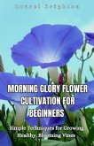 Morning Glory Flower Cultivation for Beginners Morning Glory Flower Cultivation for Beginners