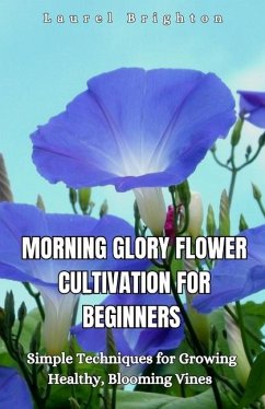 Cover Morning Glory Flower Cultivation for Beginners