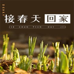 接春天回家 (MP3-Download) - 张日新