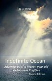 Indefinite Ocean Indefinite Ocean