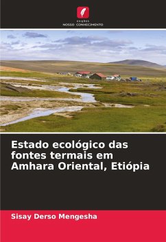 Cover Estado ecológico das fontes termais em Amhara Oriental, Etiópia