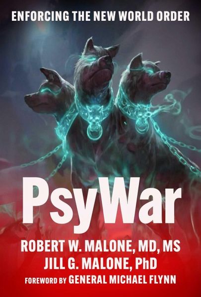 PsyWar (eBook, ePUB)