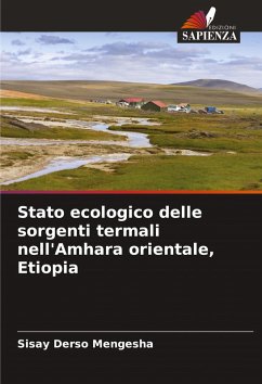 Cover Stato ecologico delle sorgenti termali nell'Amhara orientale, Etiopia