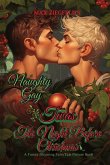 The Naughty Gay Twas The Night Before Christmas-A Funny Rhyming FairyTale Picture Book The Naughty Gay Twas The Night Before Christmas-A Funny Rhyming FairyTale Picture Book