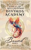 Divinos Academy