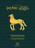 Criaturas del Mundo Mágico Criaturas del Mundo Mágico