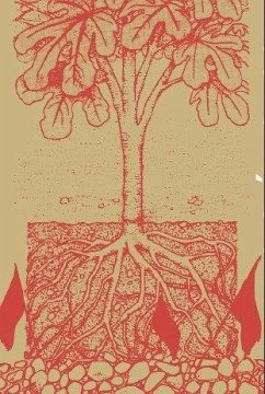 Autonomía y subsistencia: Una teoría ecosocial y materialista de la libertad