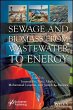 Sewage and Biomass from Wastewater to... - Bild 1