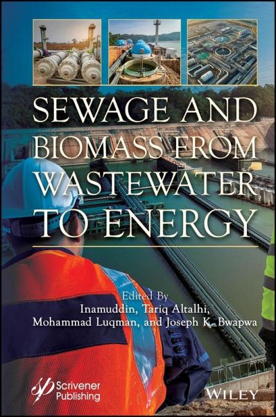 Sewage and Biomass from Wastewater to Energy (eBook, PDF)