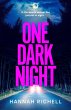 One Dark Night (eBook, ePUB) - Bild 1