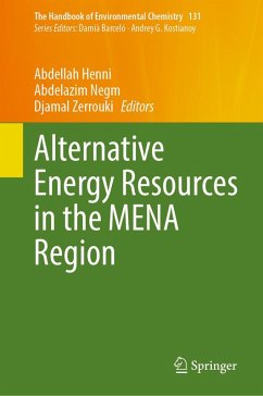 Cover Alternative Energy Resources in the MENA Region (eBook, PDF)