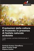 Prestazioni della coltura di frumento in presenza di fosfato naturale acidulato Prestazioni della coltura di frumento in presenza di fosfato naturale acidulato