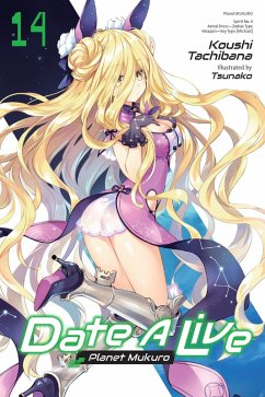 Cover Date a Live, Vol. 14 (Light Novel)