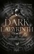 Dark Labyrinth - Gefährliches... - Bild 1