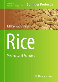 Cover Rice (eBook, PDF)
