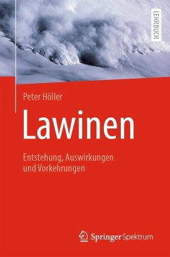 Cover Lawinen (eBook, PDF)
