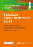 Basiswissen Ingenieurmathematik Band 4 (eBook, PDF)