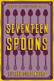 Seventeen Spoons (eBook, ePUB)