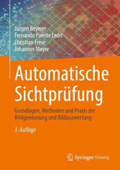 Cover Automatische Sichtprüfung (eBook, PDF)