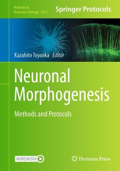 Cover Neuronal Morphogenesis (eBook, PDF)