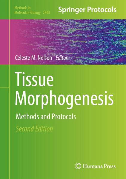 Tissue Morphogenesis (eBook, PDF)