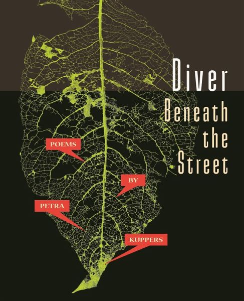 Diver Beneath the Street (eBook, ePUB)