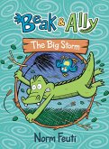 Beak & Ally #3: The Big Storm (eBook, ePUB)