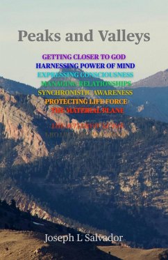 Peaks and Valleys : Traveler's Guide: Getting Closer to God, Harnessing Power of Mind, Expressing Consciousness, Managing Relationships, Synchronistic Awareness, Protecting Life Force, Material Plane (eBook, ePUB) - Salvador, Joseph L