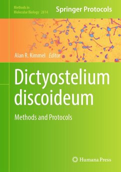 Cover Dictyostelium discoideum (eBook, PDF)