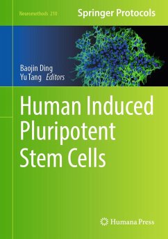 Human Induced Pluripotent Stem Cells (eBook, PDF)