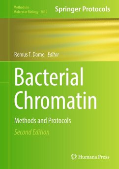 Cover Bacterial Chromatin (eBook, PDF)