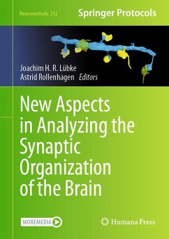 New Aspects in Analyzing the Synaptic Organization of the Brain (eBook, PDF)