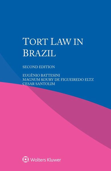 Tort Law in Brazil (eBook, PDF)
