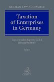 Taxation of Enterprises in Germany (eBook, PDF)