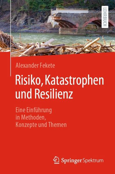 Risiko, Katastrophen und Resilienz (eBook, PDF)