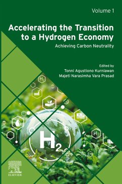 Accelerating the Transition to a Hydrogen Economy (eBook, ePUB)